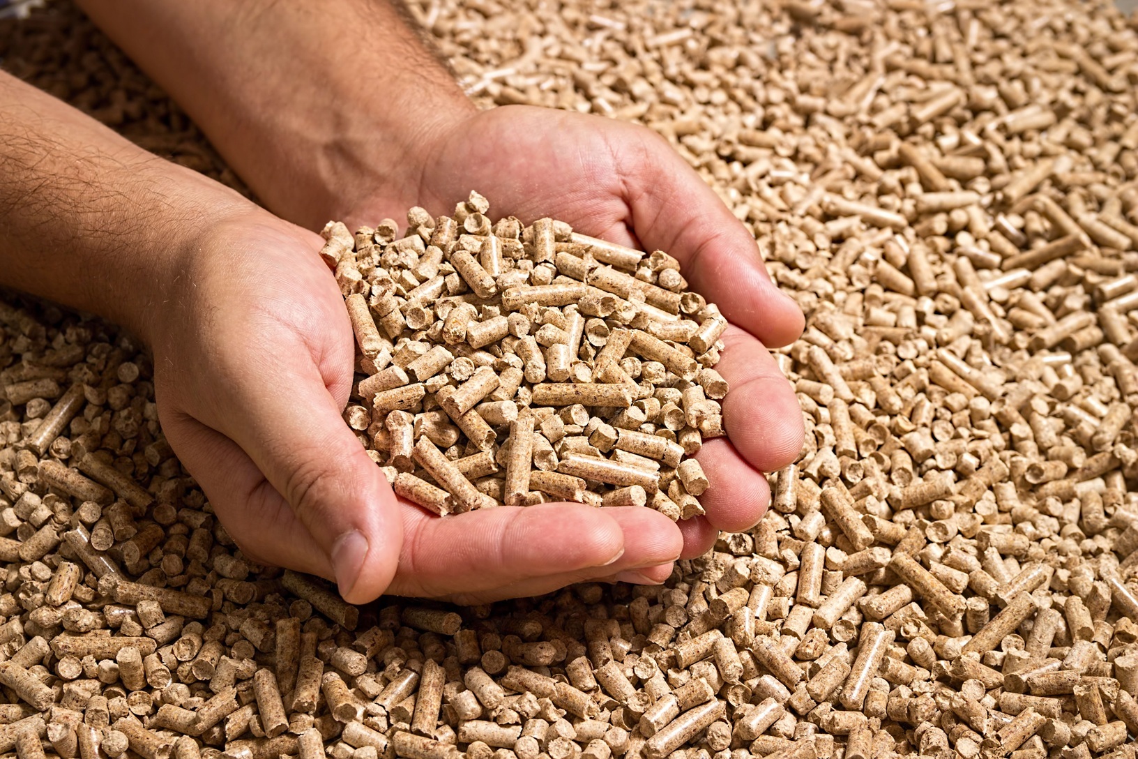 Pellets from renewable raw materials