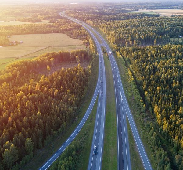 Highway Trees Biodiesel